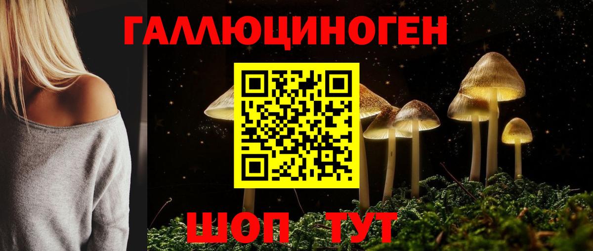Галлюциногенные грибы Psilocybine cubensis  Псилоцибиновые грибы ЛСД  Красноармейск  Вход с VPN 